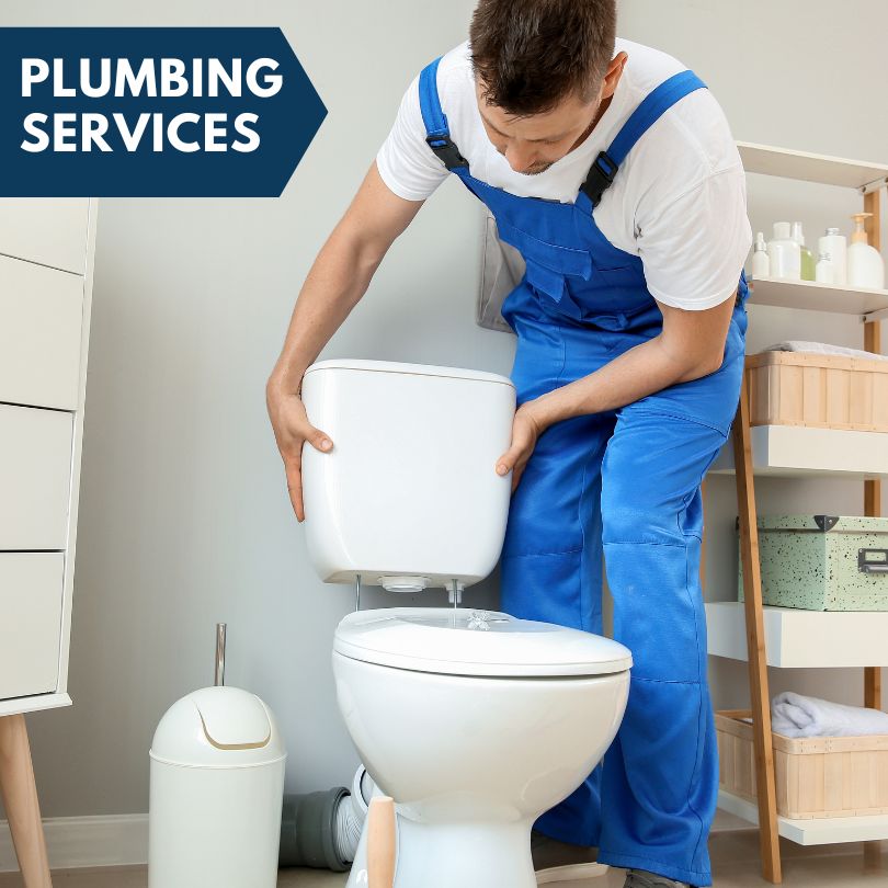 Plumbing Company in Petersburg, MI